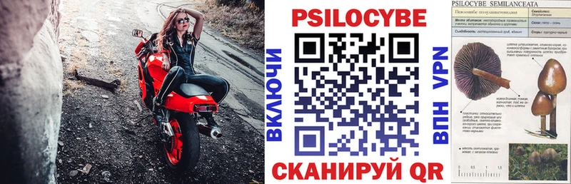 Псилоцибиновые грибы прущие грибы  кракен рабочий сайт  Новомичуринск 
